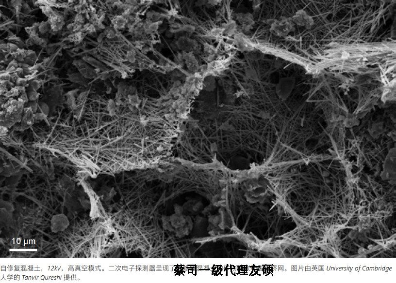 海北蔡司海北扫描电镜