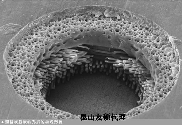 海北蔡司海北扫描电镜